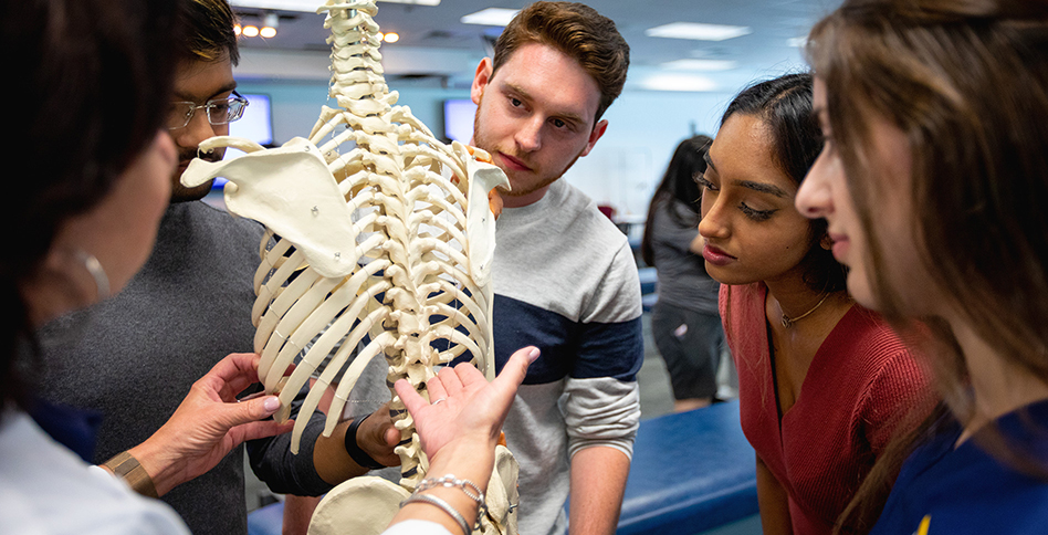 Student and faculty looking at skeletal model