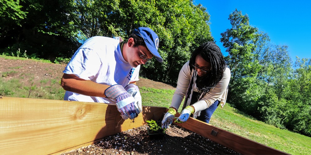 Students working outside in garden.