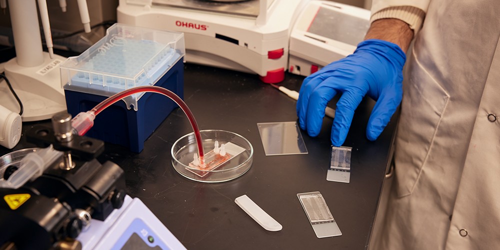 Hands using lab equipment