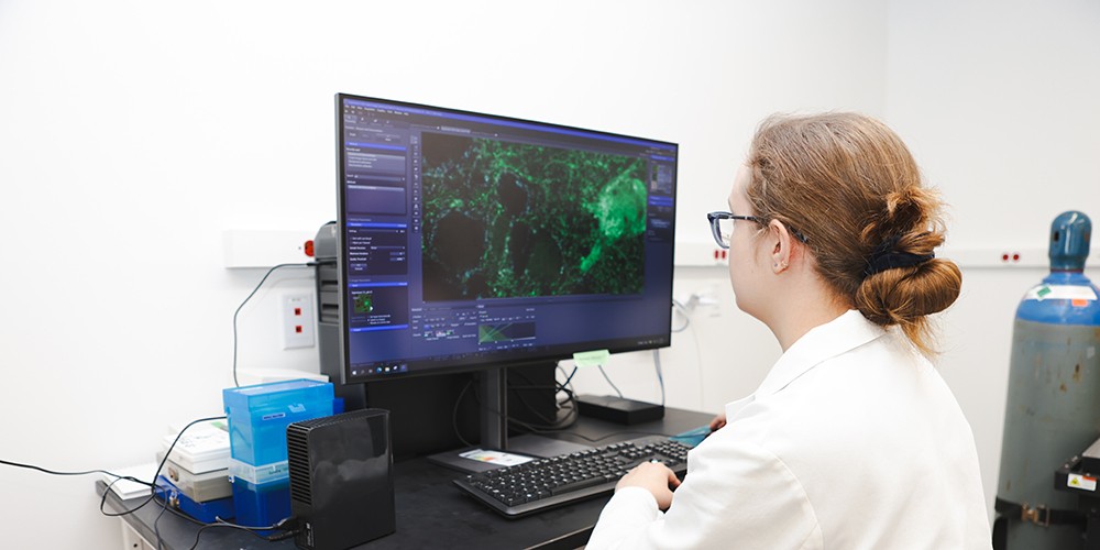 Student looking at cells on screen