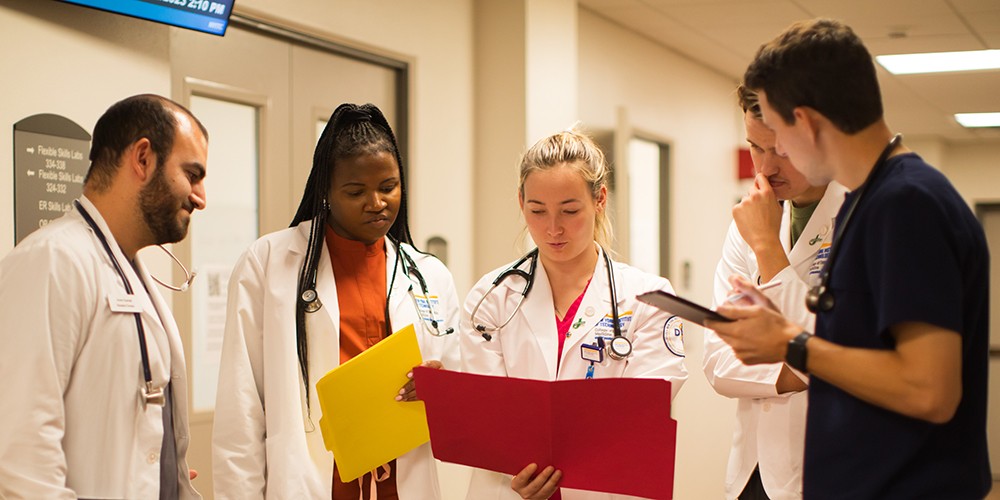 Students looking at charts