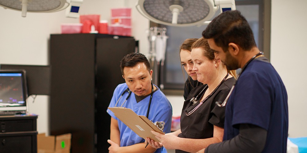 Students in looking at charts