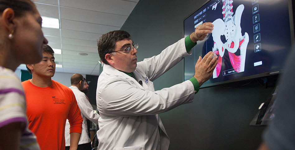 NYITCOM instructor working with students on a smart board anatomical model NYITCOM instructor working with students on a smart board anatomical model